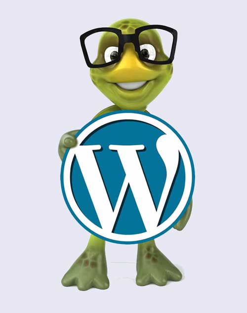 slow-wordpress